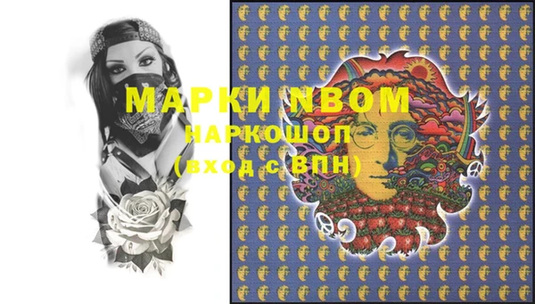 молекула духа Костерёво