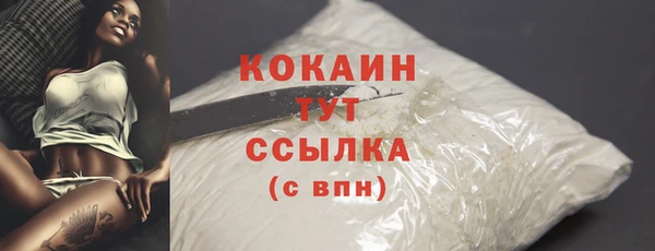 молекула духа Костерёво
