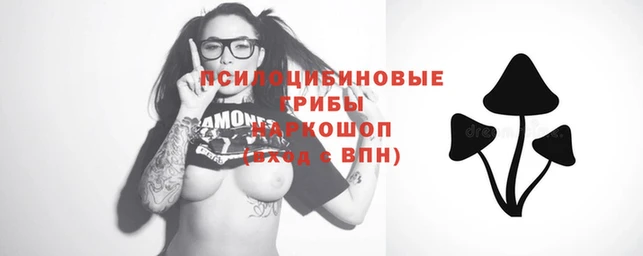 каннабис Коряжма