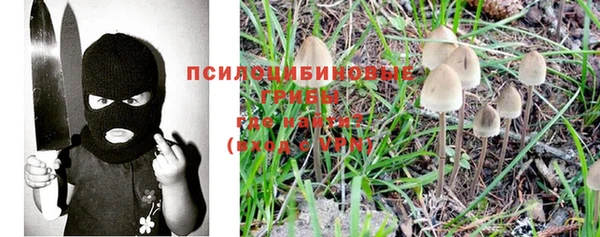 каннабис Коряжма