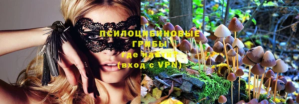 твердый Корсаков