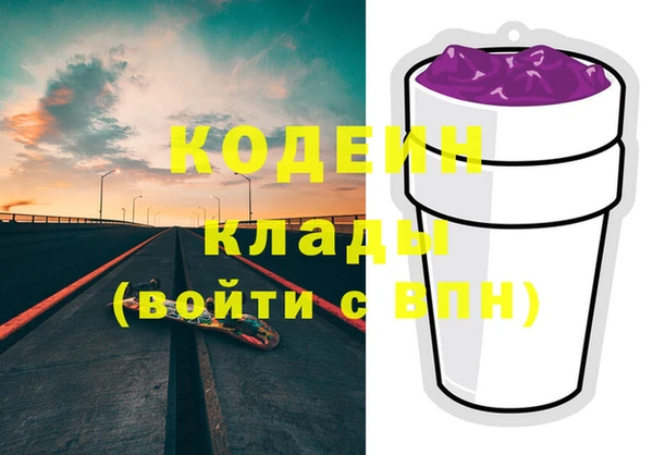 молекула духа Костерёво