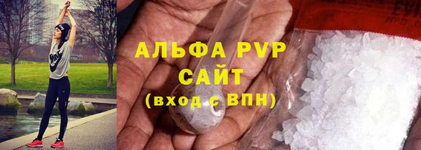 молекула духа Костерёво