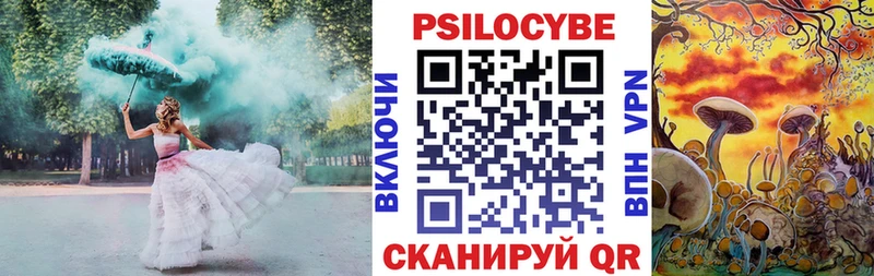 Псилоцибиновые грибы мухоморы  Черняховск 