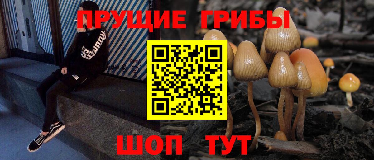 Галлюциногенные грибы MAGIC MUSHROOMS Черняховск