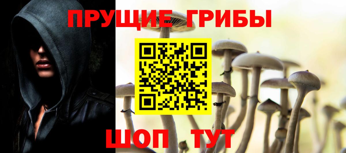 Галлюциногенные грибы GOLDEN TEACHER  Вход с VPN  Галлюциногенные грибы GOLDEN TEACHER  Черняховск 